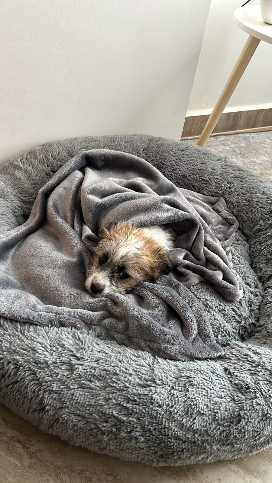 CAMA DONA ANTI ESTRÉS