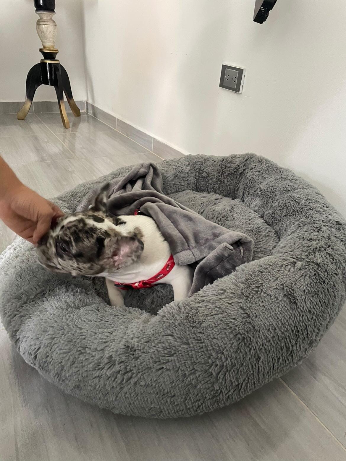 CAMA DONA ANTI ESTRÉS