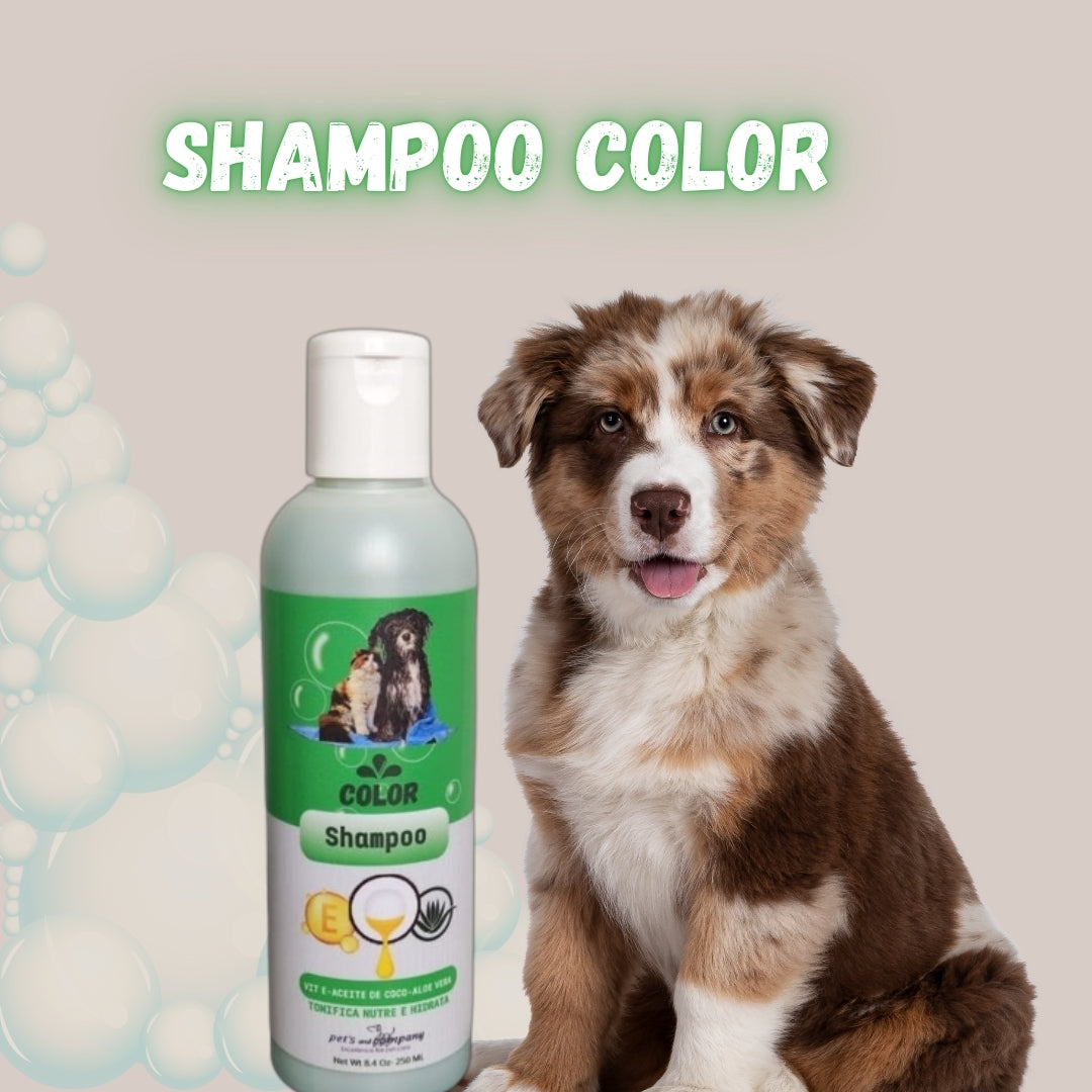 SHAMPOO COLOR 250 ml